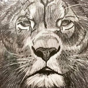 Meet your Posher, Norma